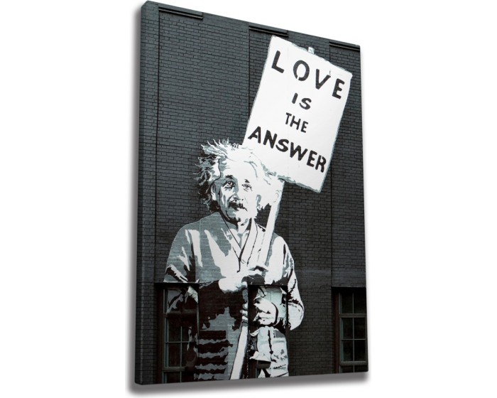 Obraz na plátně Einstein WY32 50x70 cm