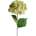 Umělá květina VIRIDIS HORTENSIA 73 cm bílá/zelená