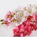 Umělá květina VIRIDIS ORCHID 74 cm bílá