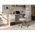 Psací stůl Bodyx 120 cm jasan/šedý