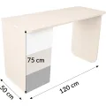Psací stůl Bodyx 120 cm jasan/šedý