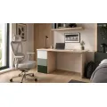 Psací stůl Bodyx 120 cm jasan/zelený