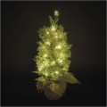 Vánoční světelný LED stromeček Skyla 50 cm zelený/teplý bílý