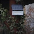 Solární LED reflektor SOLO I s pohybovým čidlem černý/neutrální bílá