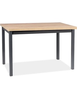 Jídelní stůl Adam 100 cm dub artisan/černý