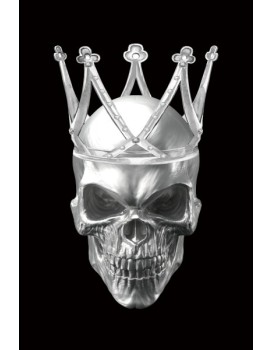 Obraz Skull 80x120 černý/stříbrný