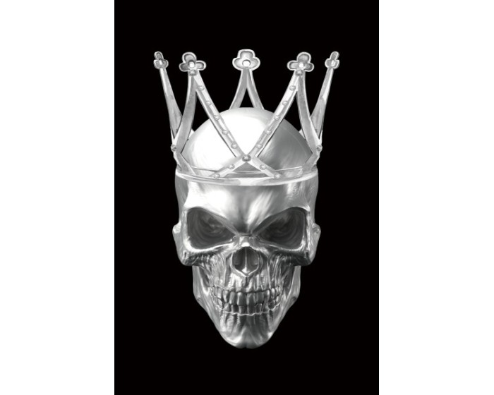 Obraz Skull 80x120 černý/stříbrný