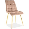 Čalouněná jídelní židle Chic Gold Velvet béžová