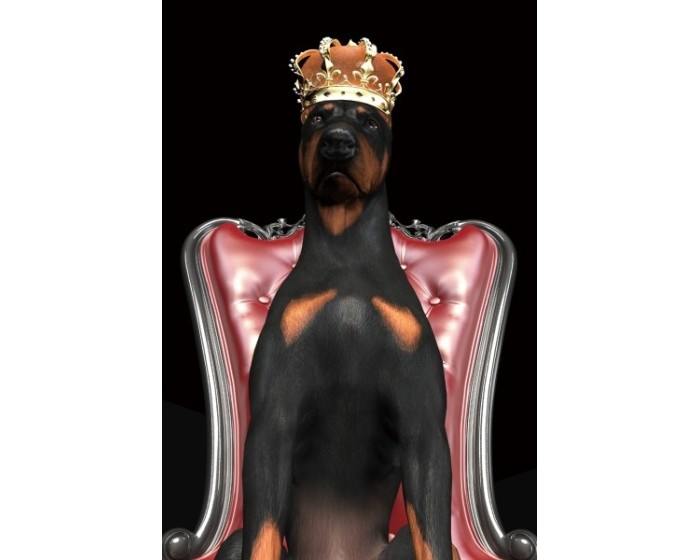 Obraz Dog in Crown 80x120 cm černý