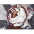 Obraz Flower Darkback 120x60 cm červeno-bílý