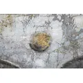 Obraz Face Buddha Light A 80x120 cm šedý