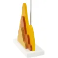 Stolní lampa Color A 57 cm žluto-oranžová