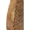 Dekorativní soška Coin 40 cm z masivu hnědá