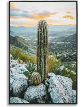 Obraz Cactus A 60x90 cm vícebarevný