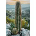 Obraz Cactus A 60x90 cm vícebarevný