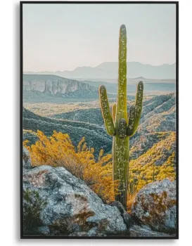 Obraz Cactus B 60x90 cm vícebarevný