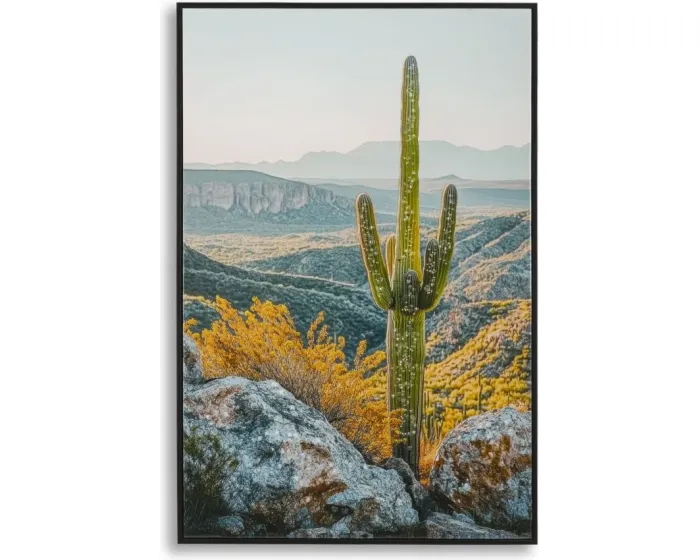 Obraz Cactus B 60x90 cm vícebarevný
