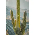 Obraz Cactus B 60x90 cm vícebarevný