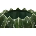 Dekorativní odkládací miska Cactus 22 cm zelená