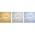Stropní svítidlo Ring II LED stříbrné