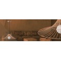 Stropní svítidlo LOFT WIRE růžově zlaté