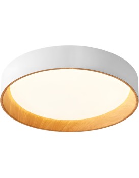 Stropní LED svítidlo G116-C bílá/neutrální bílá
