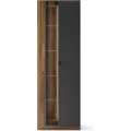 Vitrína s LED osvětlením Radium 11 68 cm ořech Columbia/černá