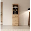 Vitrína s LED osvětlením Evisa 50 cm dub Artisan