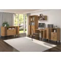 TV stolek Liva 120 cm dub Artisan/černý