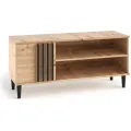 TV stolek Liva 120 cm dub Artisan/černý