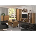 TV stolek Liva 120 cm dub Artisan/černý