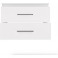 Závěsná skříňka pod umyvadlo s deskou NEL 2S 60 cm bílá