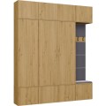 Předsíňová stěna Haga 3Sz1W 200 cm dub Artisan