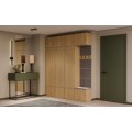 Předsíňová stěna Haga 3Sz1W 200 cm dub Artisan