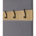 Předsíňová stěna Haga 1Sz2W 150 cm dub Artisan