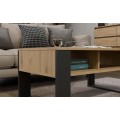 Konferenční stolek Lawa MODERN 2P dub artisan/antracit