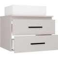 Závěsná skříňka pod umyvadlo s deskou NEL 2S 60 cm kašmírová