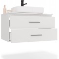 Závěsná skříňka pod umyvadlo s deskou NEL 2S 80 cm bílá