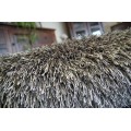 Kulatý koberec LOVE SHAGGY taupe