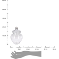 Skleněná dóza AURELIA 19 cm čirá