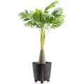 Květináč MOSS ECO 25,5x25,3 cm černý beton 