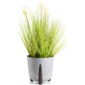 Květináč MOSS ECO 25,5x25,3 cm šedý beton 