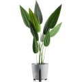 Květináč MOSS ECO 30x28,5 cm šedý beton