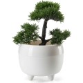 Květináč na nožičkách BOTANICA 30x23,8 cm krémový