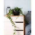 Květináč STRIPPED Eco 30x16 cm antracitový 