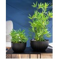 Květináč STRIPPED Eco 30x16 cm antracitový 