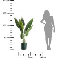 Květináč s podmiskou AZALEA 22,5 cm zelený