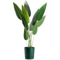 Květináč s podmiskou AZALEA 22,5 cm zelený