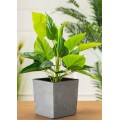 Květináč Flore 25x25 cm šedý beton
