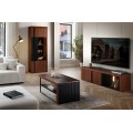 TV stolek Paris II 25 182 cm z masivu s LED osvětlením dub antický/černý